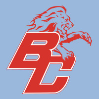 Boyd County High School Baseball Premium Hoodie | Teevron