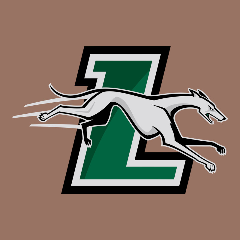 Loyola (md) Greyhounds Premium Hoodie by linhVisuals | Teevron