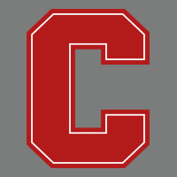 Cornell Big Red Premium Hoodie | Teevron