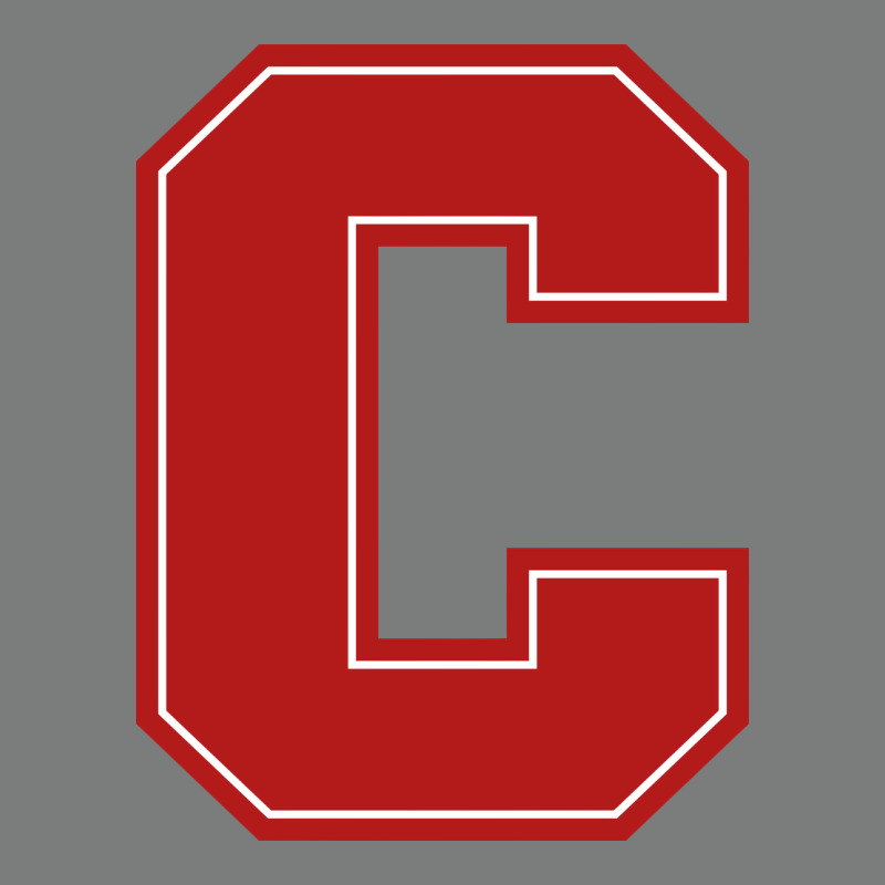 Cornell Big Red Premium Hoodie by linhVisuals | Teevron