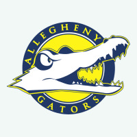 Allegheny Merch Premium Hoodie | Teevron