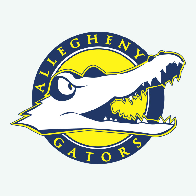 Allegheny Merch Premium Hoodie by linhVisuals | Teevron