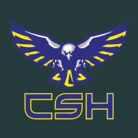 Cold Springs High School Premium Hoodie | Teevron