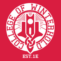 College Of Winterhold Premium Hoodie | Teevron