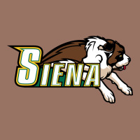 The Siena Saints Premium Hoodie | Teevron