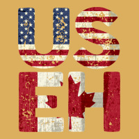 Canada Us Eh American Canadian Flag Vintage America Colors Patriotic G Premium Hoodie | Teevron