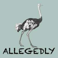 Allegedly Premium Sweatshirt | Teevron