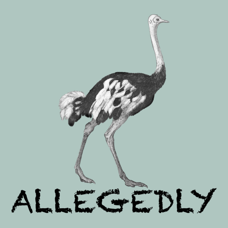 Allegedly Premium Sweatshirt by Bettercallsaul | Teevron