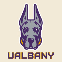 Ualbany Great Danes Premium Hoodie | Teevron