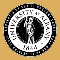 University Albany Suny Premium Hoodie | Teevron