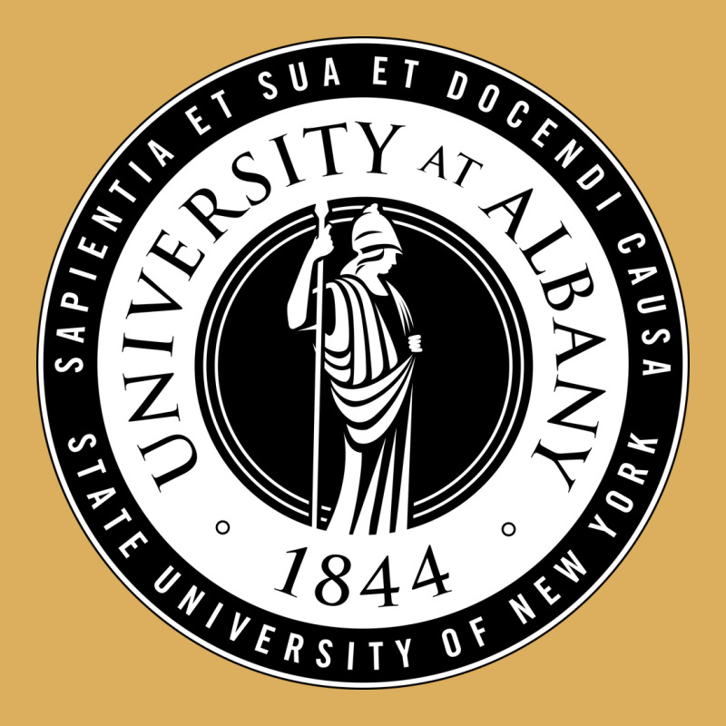 University Albany Suny Premium Hoodie by linhVisuals | Teevron
