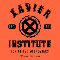 Xavier Institute Premium Hoodie | Teevron