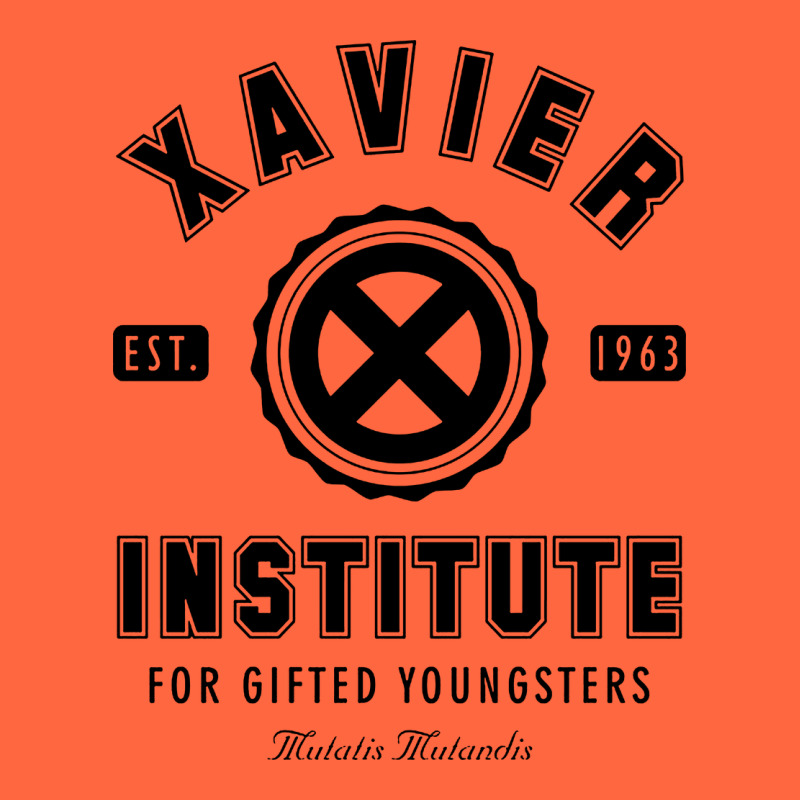 Xavier Institute Premium Hoodie by linhVisuals | Teevron