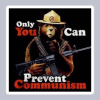 Only You Can Prevent Communism Premium Hoodie | Teevron