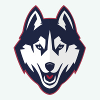 Wolf Head Tshirt Premium Hoodie | Teevron