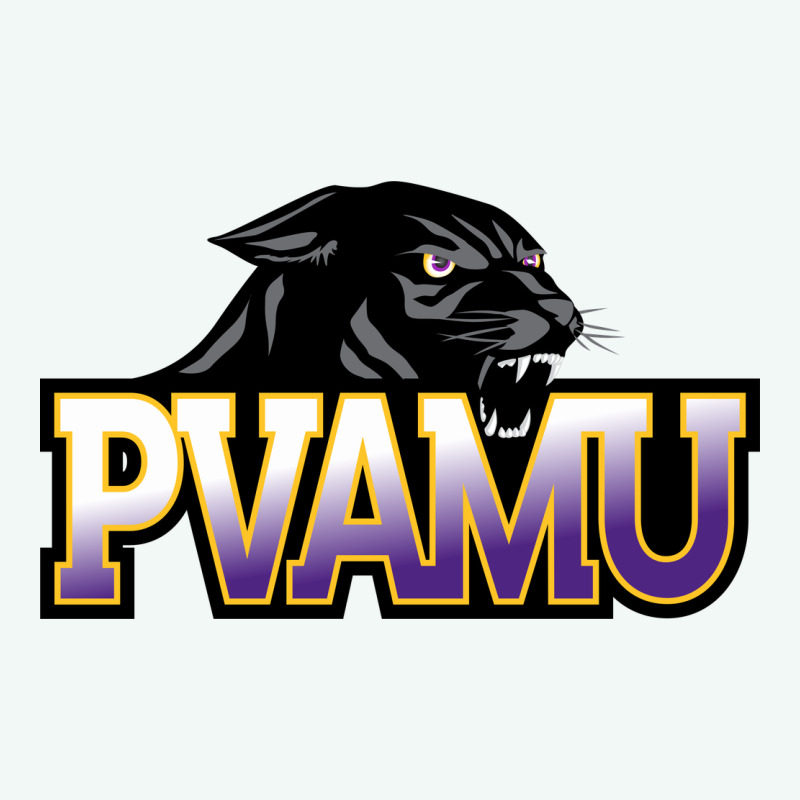 Prairie View A&m Panthers And Lady Panthers Rectangle Patch Premium Hoodie by linhVisuals | Teevron