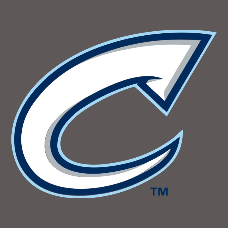 Columbus Clippers Premium Hoodie by linhVisuals | Teevron
