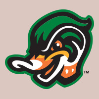 Down East Wood Ducks Premium Hoodie | Teevron