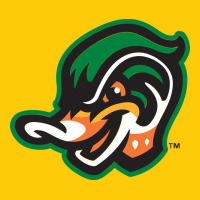 Down East Wood Ducks Premium Hoodie | Teevron
