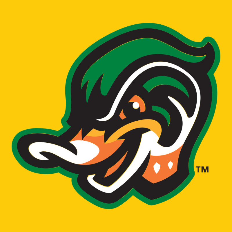 Down East Wood Ducks Premium Hoodie by linhVisuals | Teevron