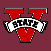 Valdosta Merch, Blazers Premium Hoodie | Teevron