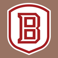 Bradley University Athletics Premium Hoodie | Teevron
