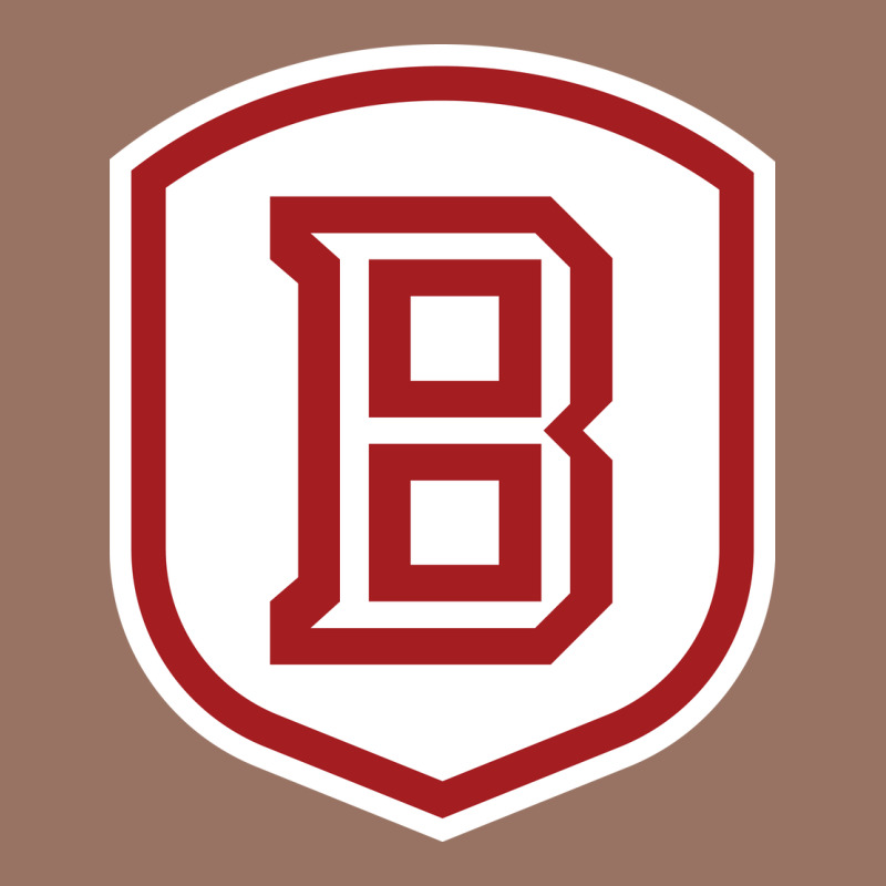 Bradley University Athletics Premium Hoodie by linhVisuals | Teevron