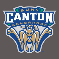 Suny Canton Premium Hoodie | Teevron