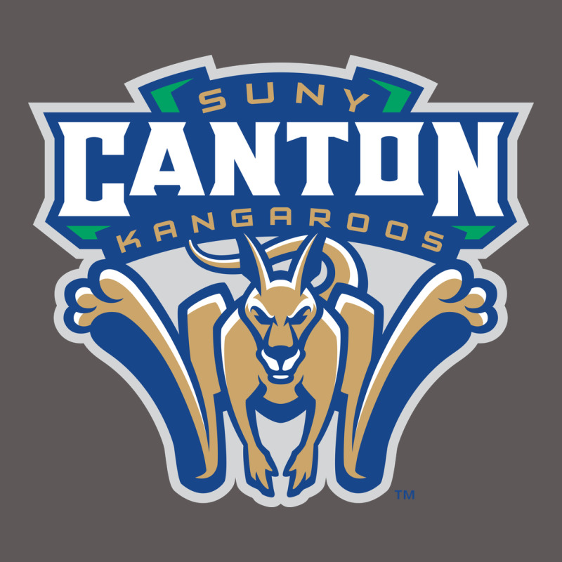 Suny Canton Premium Hoodie by linhVisuals | Teevron
