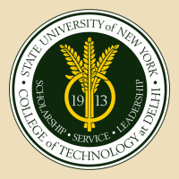 Suny Delhi Premium Hoodie | Teevron