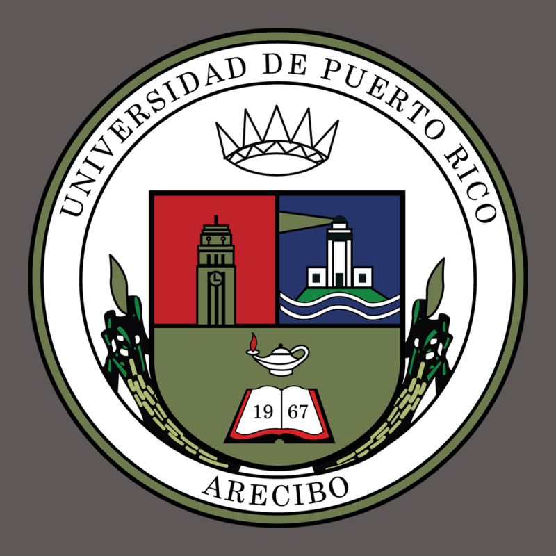 Upr At Arecibo Premium Hoodie by linhVisuals | Teevron