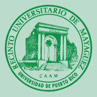 Upr At Mayaguez Premium Hoodie | Teevron