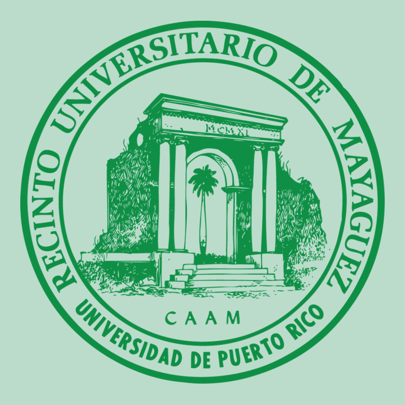 Upr At Mayaguez Premium Hoodie by linhVisuals | Teevron