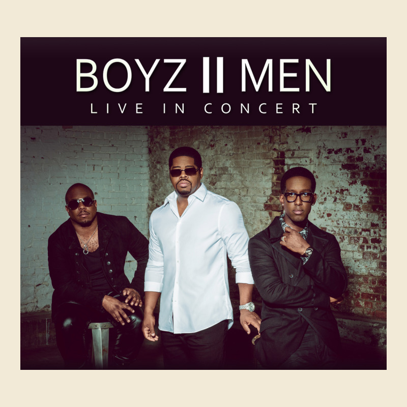 #boyz 2 Men Tour 2022 Premium Hoodie by linhVisuals | Teevron