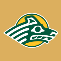 Alaska Anchorage Seawolves Premium Hoodie | Teevron