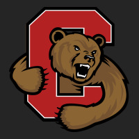 Cornell Big Red Premium Hoodie | Teevron