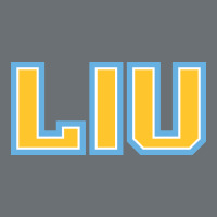 Liu Gold Wordmark Premium Hoodie | Teevron