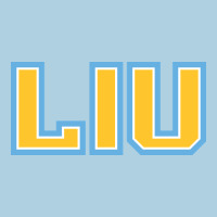 Liu Gold Wordmark Premium Hoodie | Teevron