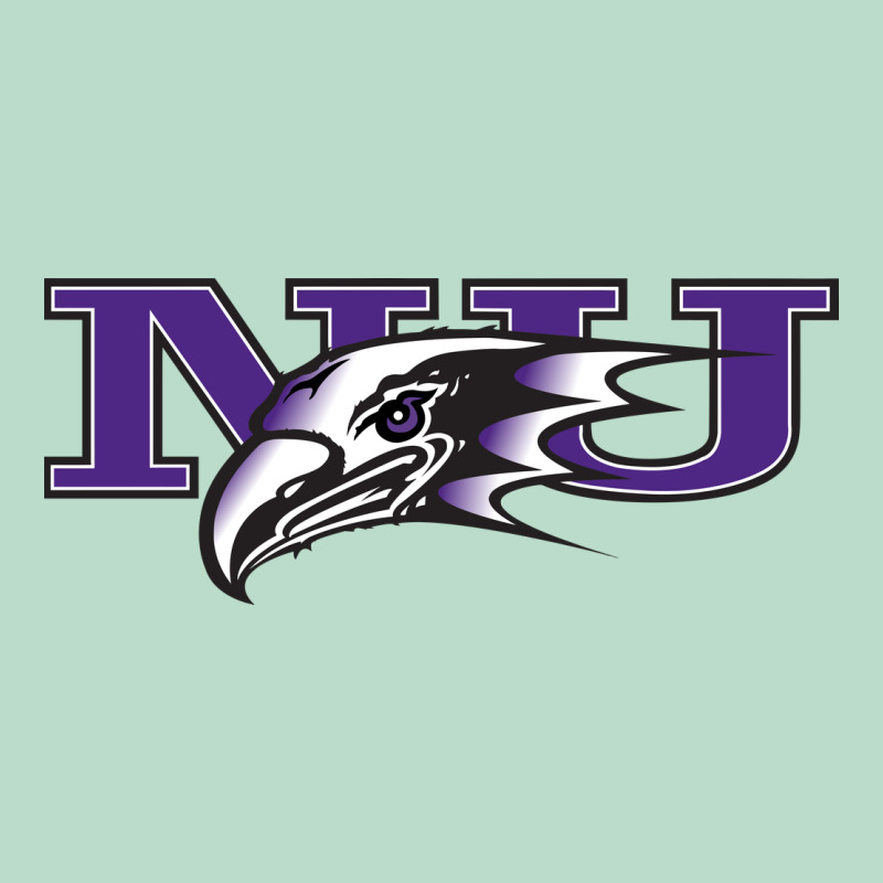 Niagara Purple Eagles Premium Hoodie by linhVisuals | Teevron