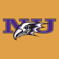 Niagara Purple Eagles Premium Hoodie | Teevron