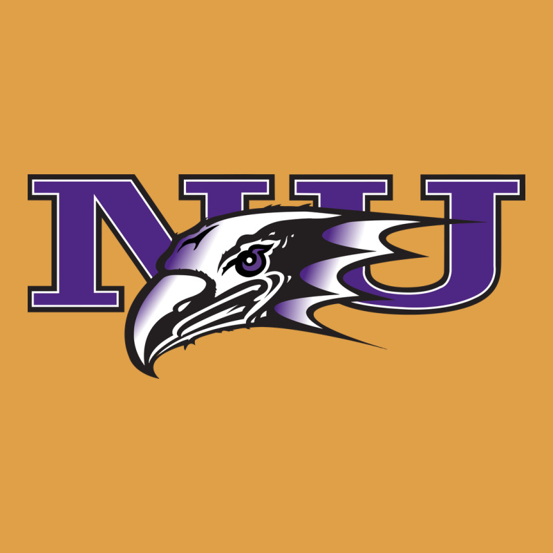 Niagara Purple Eagles Premium Hoodie by linhVisuals | Teevron