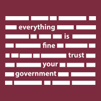 Everything Is Fine Trust Your Government Premium Hoodie | Teevron