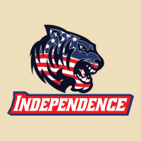 Independence High School Premium Hoodie | Teevron
