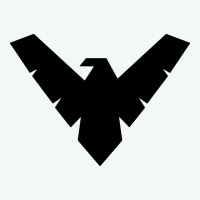 Nightwing Premium Hoodie | Teevron