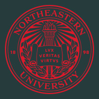 Northeastern University Premium Hoodie | Teevron