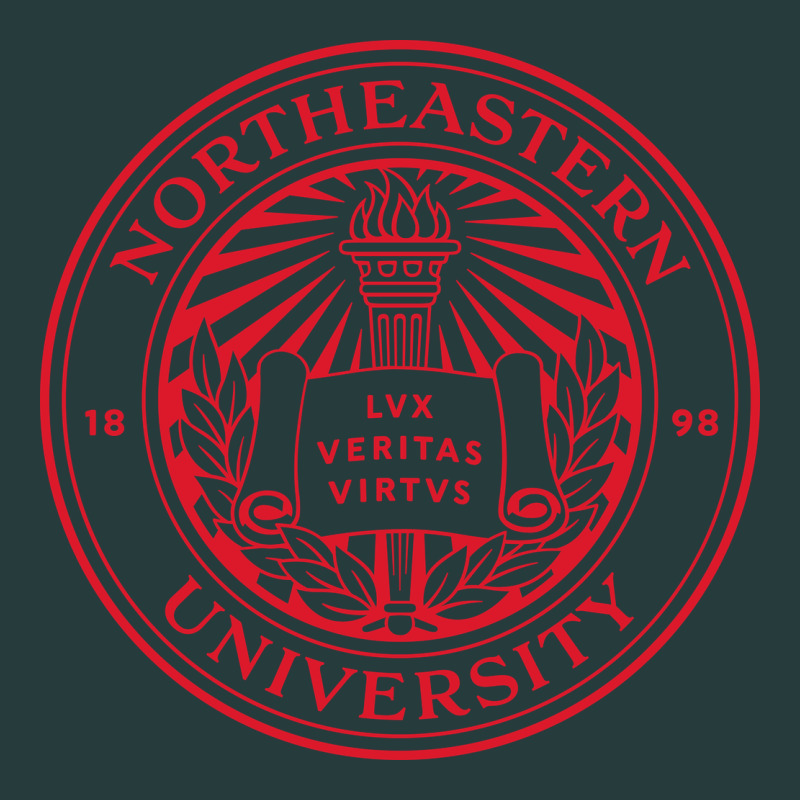 Northeastern University Premium Hoodie by linhVisuals | Teevron