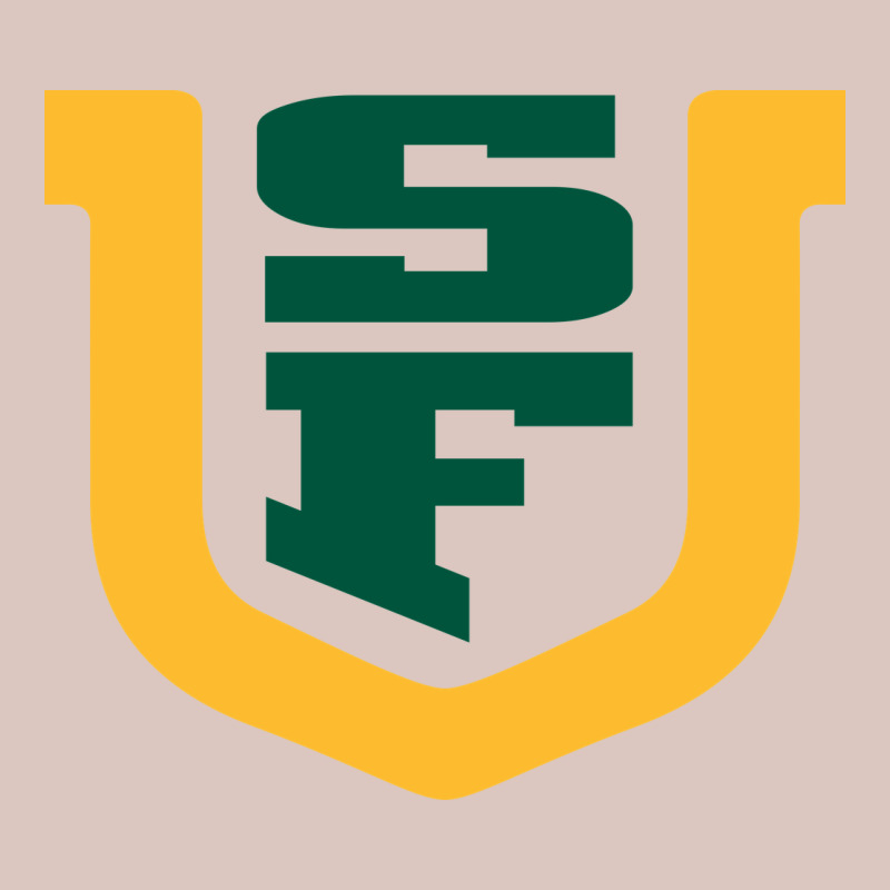 The Usf Dons Premium Hoodie by linhVisuals | Teevron