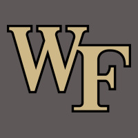 The Wake Forest Demon Deacons Premium Hoodie | Teevron