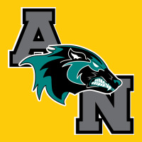 Aliso Niguel High School Premium Hoodie | Teevron