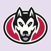 St. Cloud State Huskies, Merch Premium Hoodie | Teevron